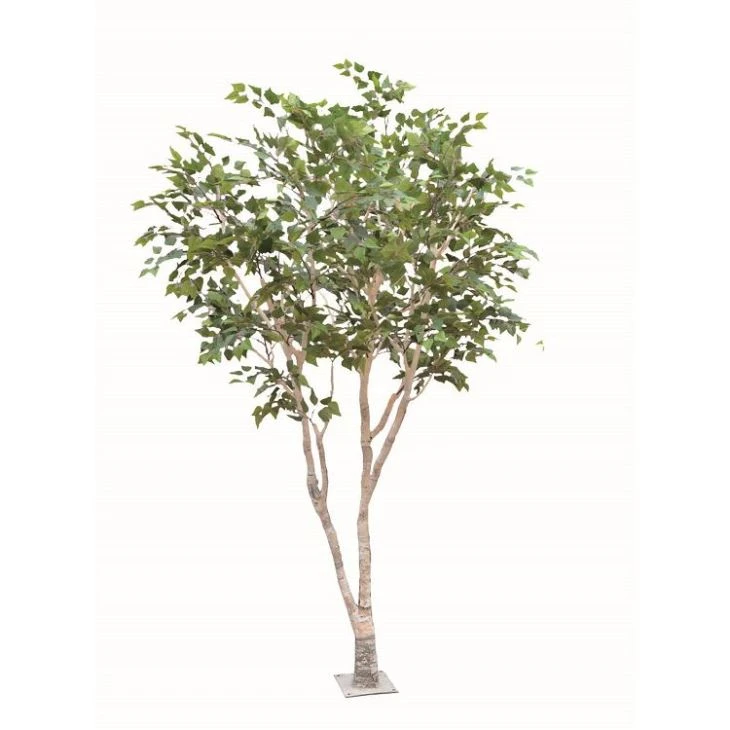 Silk Silver Birch Tree Silk Silver Birch Tree
