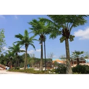 Künstlicher Cocobaum