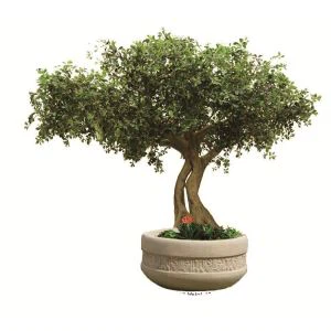 Faux schwarze Olive Tree
