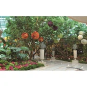 Simulation Banyanbaum